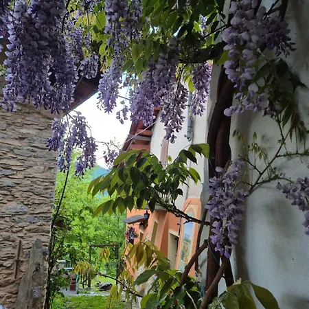 Casa S Antonio Aradolo 보르고 산 달마쪼